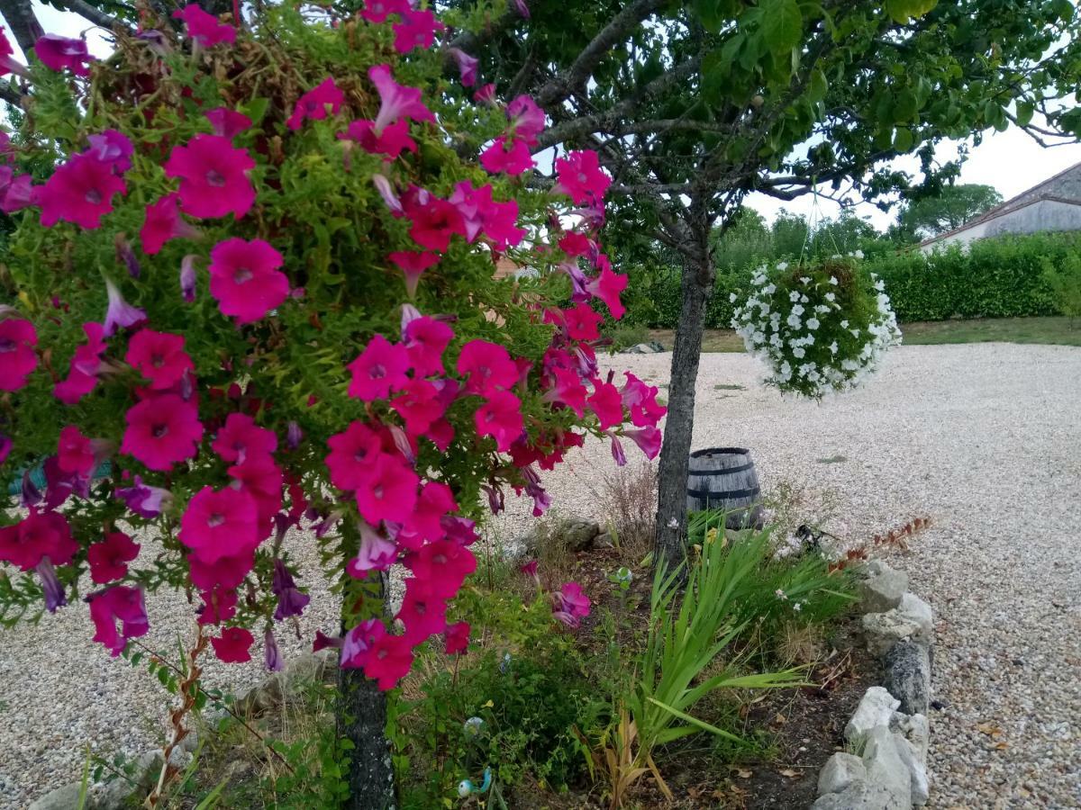 米拉贝尔住宿加早餐旅馆 Montazeau 外观 照片